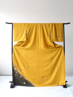 Case