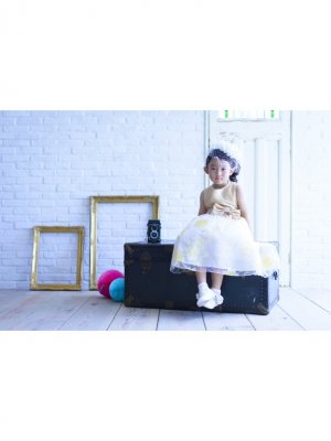 Case
