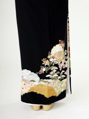Case