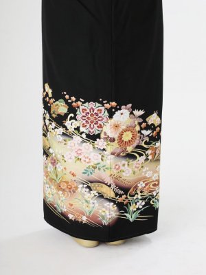 Case