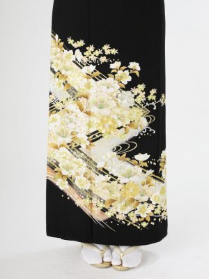 Case